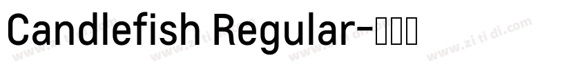Candlefish Regular字体转换